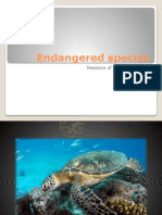 Endangered Species Reasons For Enxtinction - 149042