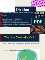 Cell Division - Interphase, Mitosis, Cytokinesis