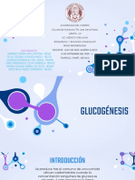 GLUCOGENESIS BIOK PP Equipo 2