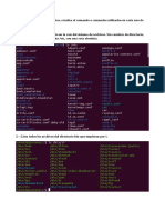 Solución - Práctica 15. Comandos Linux (I)