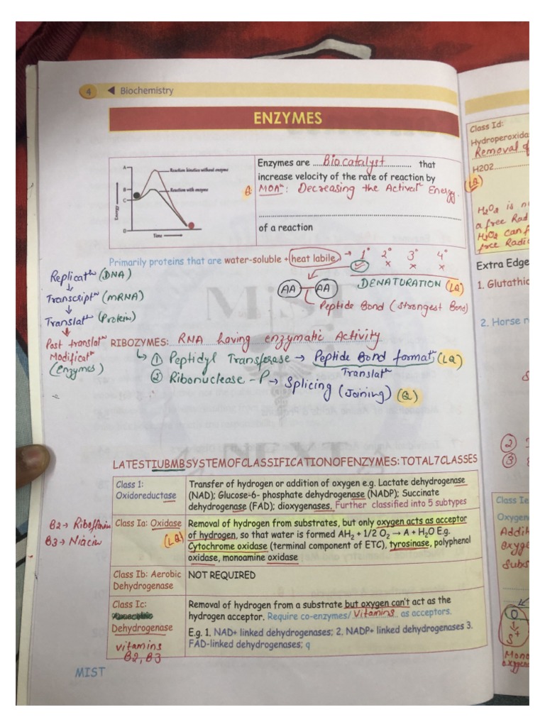 Biochem. Chapter 1 Enzymes PDF PDF