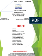 Ip Project PDF