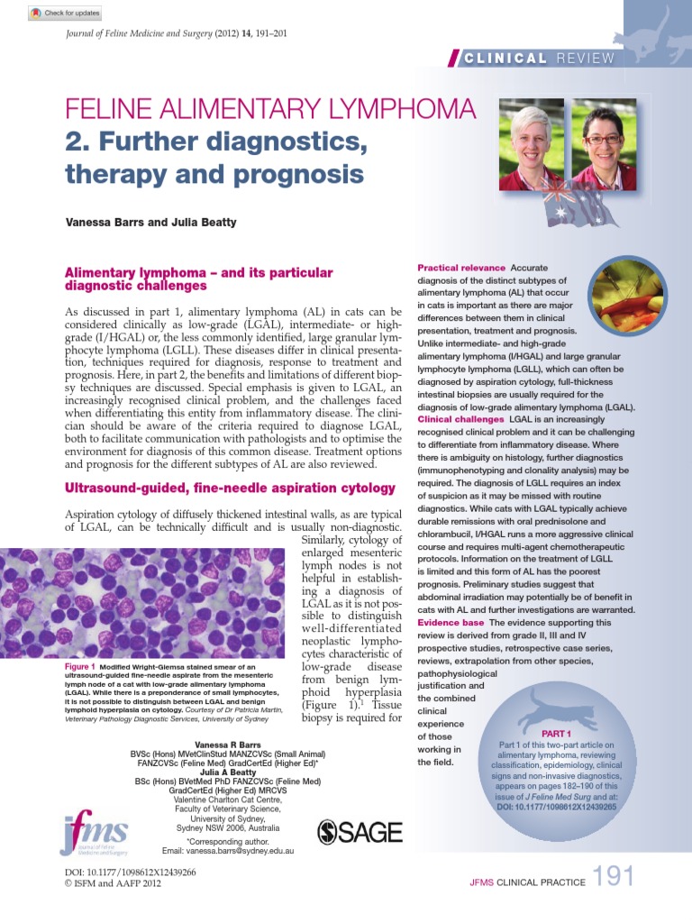 Feline Alimentary Lymphoma2 | PDF | Lymphoma | Cytopathology