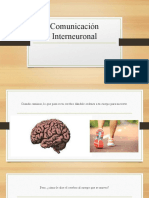 Comunicación Interneuronal