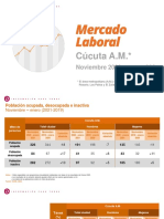 Cúcuta A.M. : Noviembre 2020 Enero 2021