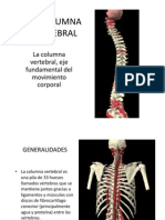 La Column A Vertebral