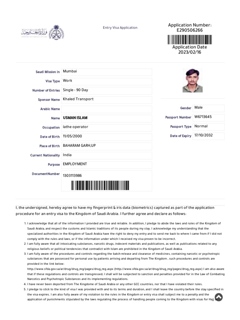 Visa Platform PDF | PDF | Travel Visa | Saudi Arabia