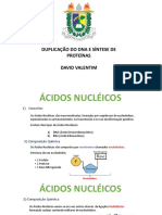 Duplicação Do DNA e Síntese Protéica - Ácidos Nucleicos