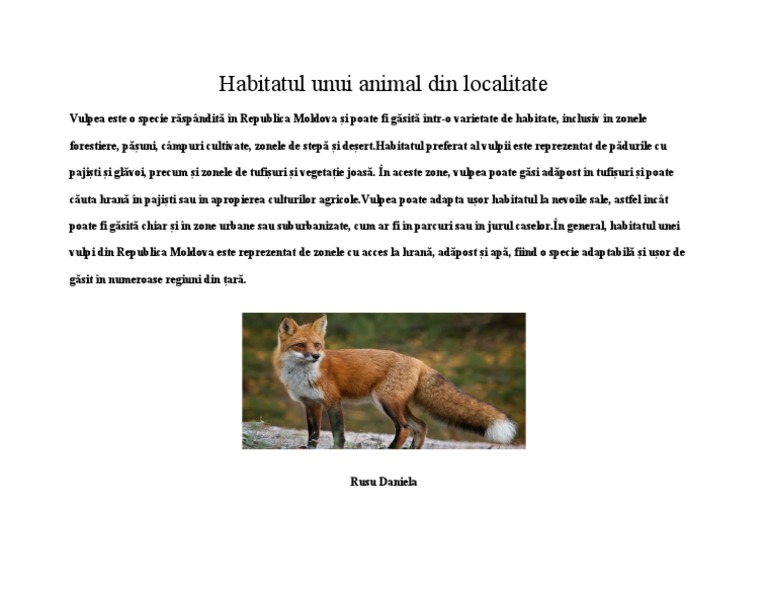 Habitatul Unui Animal Din Localitate | PDF