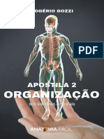 Apostila 02