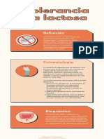 Infografía Intolerancia A La Lactosa