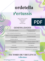 Bordetella Pertussis