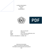 Laporan Praktikum Organik 2 Karbohidrat