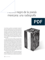 Rosales, Aldo - Archivo Negro de La Poesía Mexicana Una Radiografía
