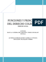 Funciones y Principios Del Derecho Colectivo