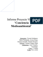 Informe Proyecto Visual: "Conciencia: Medioambiental"
