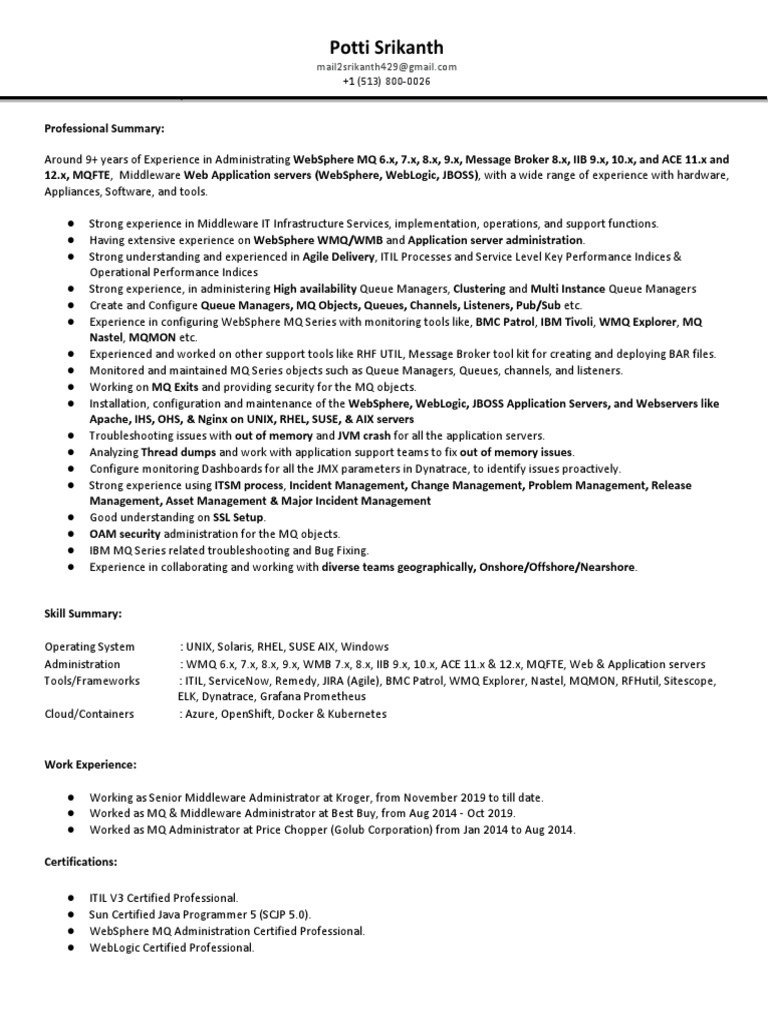 Dice Profile Srikanth P PDF Computer Architecture Software Development