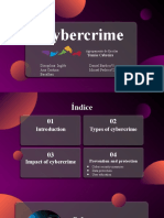 Cybercrime (1)