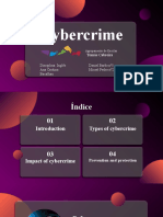 Cybercrime (2)