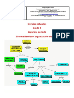 Clase 11. Grado 8°. Periodo I. Sistema Nervioso Central. Parte I