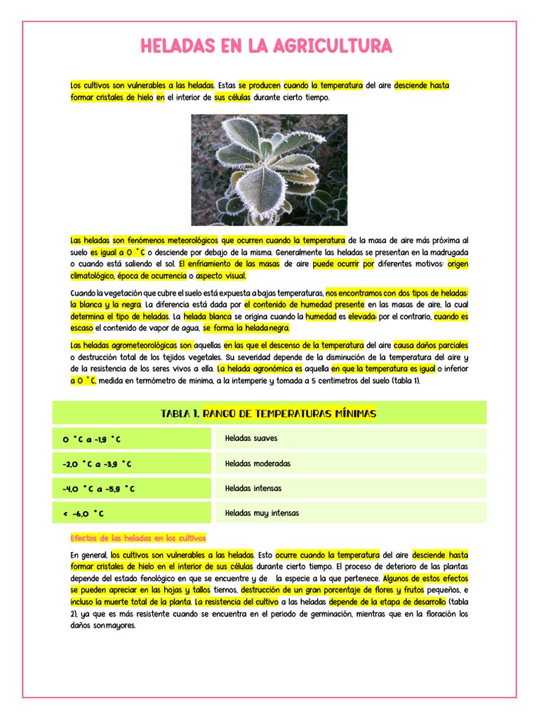 Efectos de las Heladas en Cultivos Agrícolas | PDF | Geografía Física ...