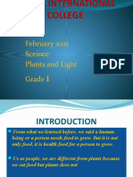 Plants Grade 1