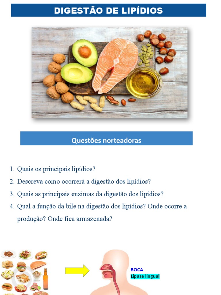 Digestão e Emulsificação de Lipídios | PDF