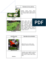 Clasificación Nombres de Las Plantas