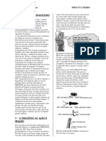 Acao e Reacao Teoria e Exercicios