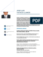 Jose Luis Yataco Llanos: Experiencia Laboral