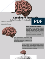 Cerebro y Lenguaje