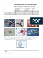 Exercicis Microrganismes