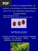 Anatomia da semente-Tegumento