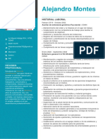 CV 2 PDF