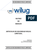 Matriz DE Riesgos: Realizado Por: Francisco Celis Hernández Experto en Prevención de Riesgos