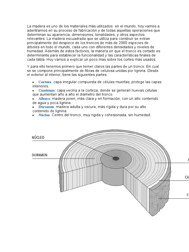 Expertos destacan que la madera es el material más seguro para