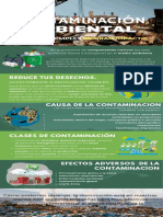 Contaminación Ambiental Infografía