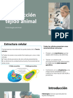 Introducción Tejido Animal