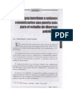 Las Gap Junctions o Uniones Comunicantes Una Puerta Más para El Estudio de Diversas Patologías