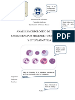 Ejemplo Informe Laboratorio Biologia