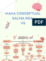Mapa Conceptual - Salma Roa-Educativa-V6
