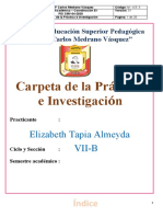 Carpeta de La Práctica e Investigación: Elizabeth Tapia Almeyda Vii-B