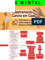 Mapa Mental Adestramento Canino PDF