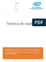 Tecnica de Cepillado