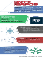 Infografía Anticuerpos PDF
