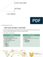 Reproducció Cel Lular PDF