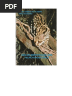 7347019-Guia-de-Indentificacao-Dos-Felinos-Brasileiros
