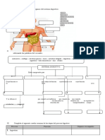 Guia Etpas Del Funcionamiento Del Sistema Digestivo