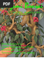 Download Origami Bonsai Electronic Magazine Volume 3 Issue 4 - September 2011 by Benjamin John Coleman SN63419792 doc pdf