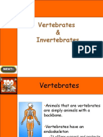 LAS 34 Vertebrates & Invertebrates